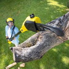 Seasonal Cleanup (Spring/Fall) in Riverdale, NJ