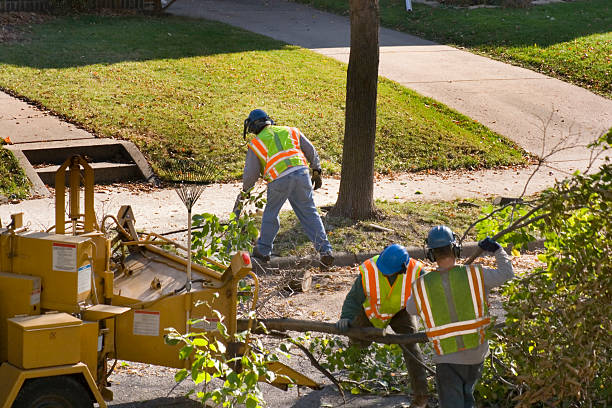Best Tree Health Inspection  in Riverdale, NJ